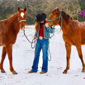 Meet your Posher, Clara